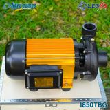  MÁY BƠM NƯỚC NAVY CHUYÊN ĐẨY CAO, ĐẨY XA THÂN NHÔM 1850TB Gold 