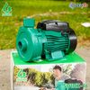  MÁY BƠM NƯỚC DÂN DỤNG 0.5HP CHUYÊN HÚT NƯỚC SẠCH GIÁ TỐT SHUSHUI SU1DK-16 