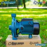  MÁY BƠM ĐĨA NAVY CPM130 BƠM ĐĨA ĐẦU TRÒN 0.5 HP 