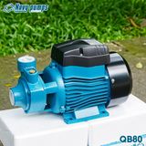  MÁY BƠM ĐẨY CAO NAVY QB80 