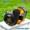  MÁY BƠM NƯỚC NAVY CHUYÊN LƯU LƯỢNG THÂN SƠN MẠ VÀNG 2200YBG ĐIỆN 380V 
