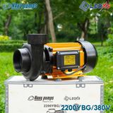  MÁY BƠM NƯỚC NAVY CHUYÊN LƯU LƯỢNG THÂN SƠN MẠ VÀNG 2200YBG ĐIỆN 380V 