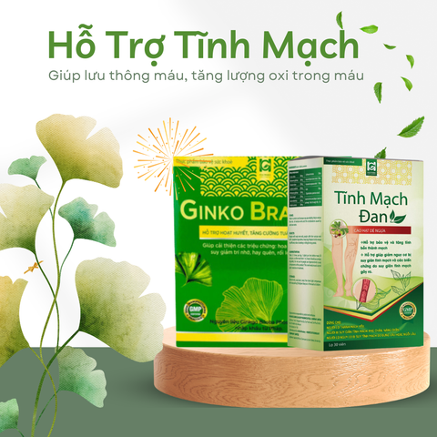 Combo Tăng Tuần Hoàn Máu: Tĩnh Mạch Đan & Ginko Brian