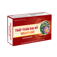 Thập toàn đại bổ Vinaplant bổ khí huyết, trị mệt mỏi (30 gói x 3g)
