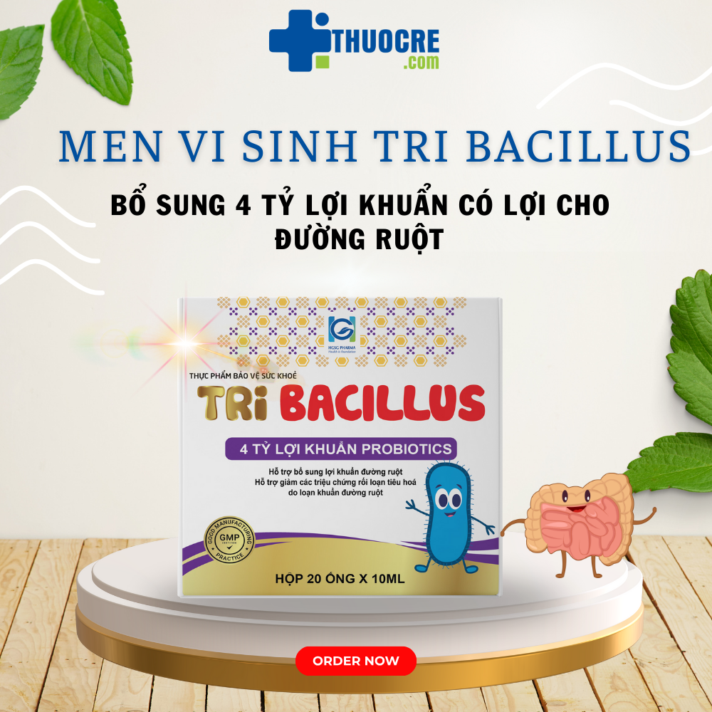 Combo Tăng Hệ Miễn Dịch Dạ Dày: Tri Bacillus & Kingdom