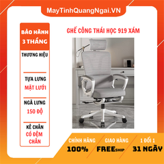 GHẾ CÔNG THÁI HỌC 919 XÁM