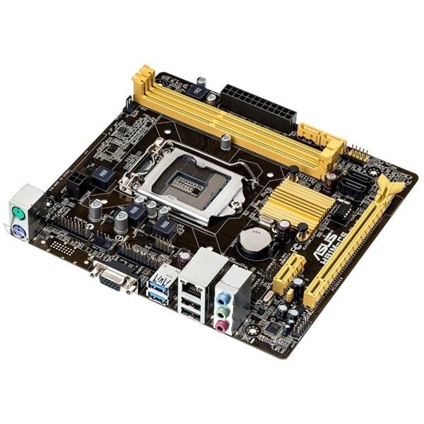 Main Asus H81 - CS