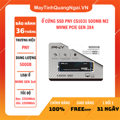 Ổ CỨNG SSD PNY CS1031 500GB M2 MVME PCIE GEN 3X4