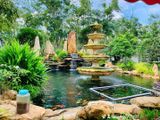 Thiết kế và thi công  sân vườn hồ cá koi, thác nước Villa Mr Sơn 