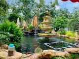  Thiết kế và thi công  sân vườn hồ cá koi, thác nước Villa Mr Sơn 