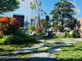  Thiết kế và thi công Villa Mr Thạnh 