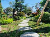  Thiết kế và thi công Villa Mr Thạnh 