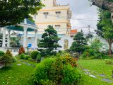  Thiết kế và thi công Villa Mr Thạnh 