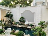  Thiết kế và thi công sân vườn  hồ cá koi Mr Đức 