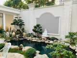  Thiết kế và thi công sân vườn  hồ cá koi Mr Đức 