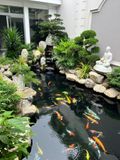  Thiết kế và thi công sân vườn  hồ cá koi Mr Đức 