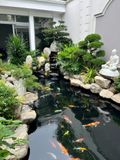  Thiết kế và thi công sân vườn  hồ cá koi Mr Đức 