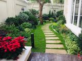  Thi công sân vườn biệt thự, hồ nước đèn chiếu sáng Mr Linh 