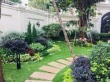  Thi công sân vườn biệt thự, hồ nước đèn chiếu sáng Mr Linh 