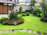  Thiết kế thi công sân vườn biệt thự Mr Hải 
