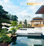  TỔNG HỢP HỒ CÁ KOI NỔI BẬT 