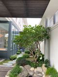  Thiết kế, thi công cảnh quan biệt thự sân vườn Sala_H9-9 