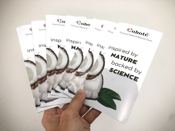 Tờ Gấp - Cobote 