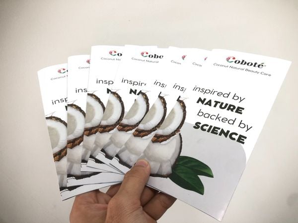  Tờ Gấp - Cobote 