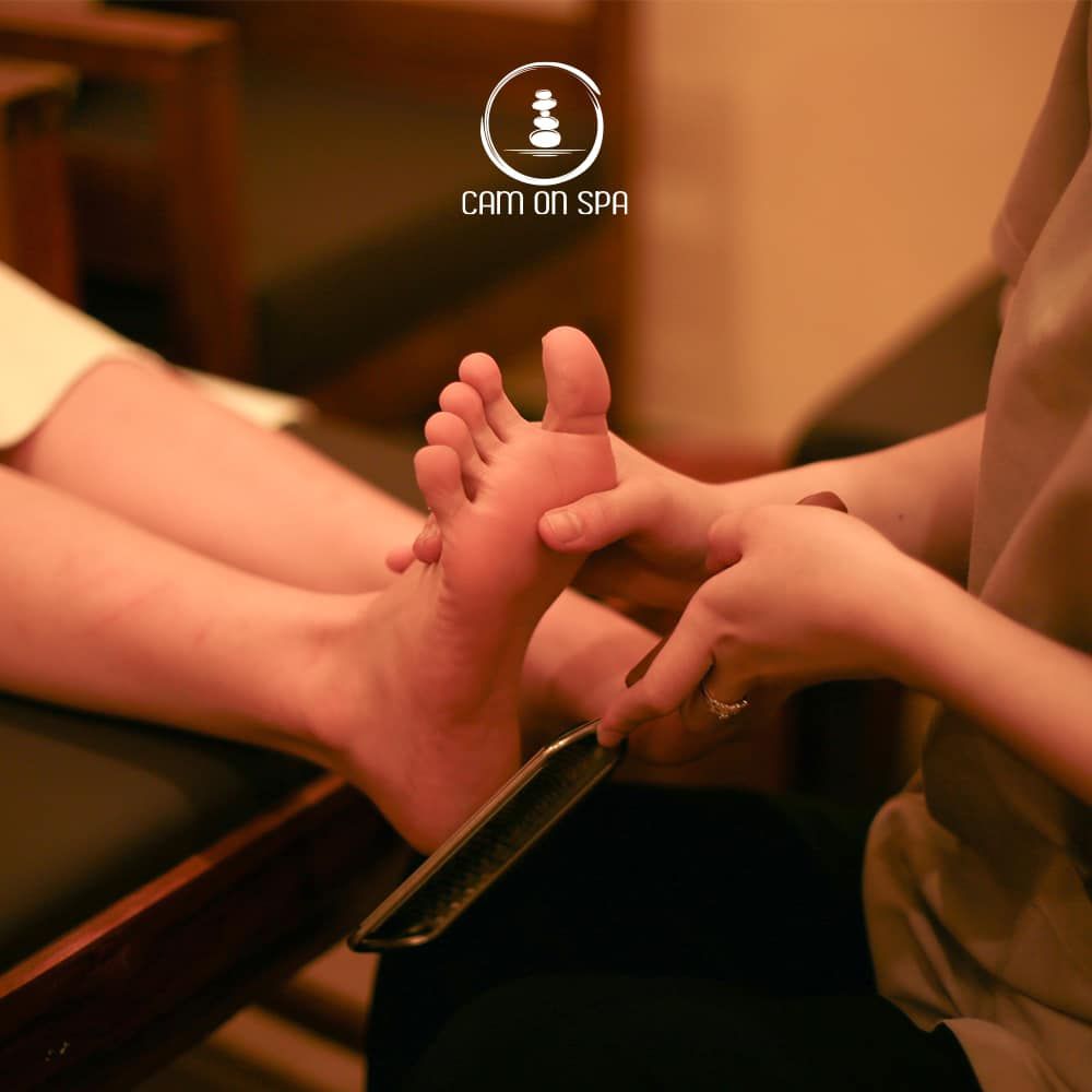  Silky Heel / Chà Gót Sen 