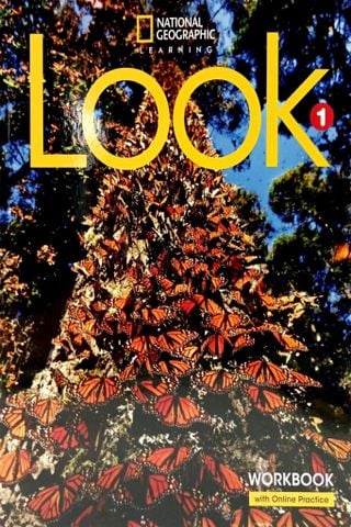  Look Level 1: Workbook With Online Practice 