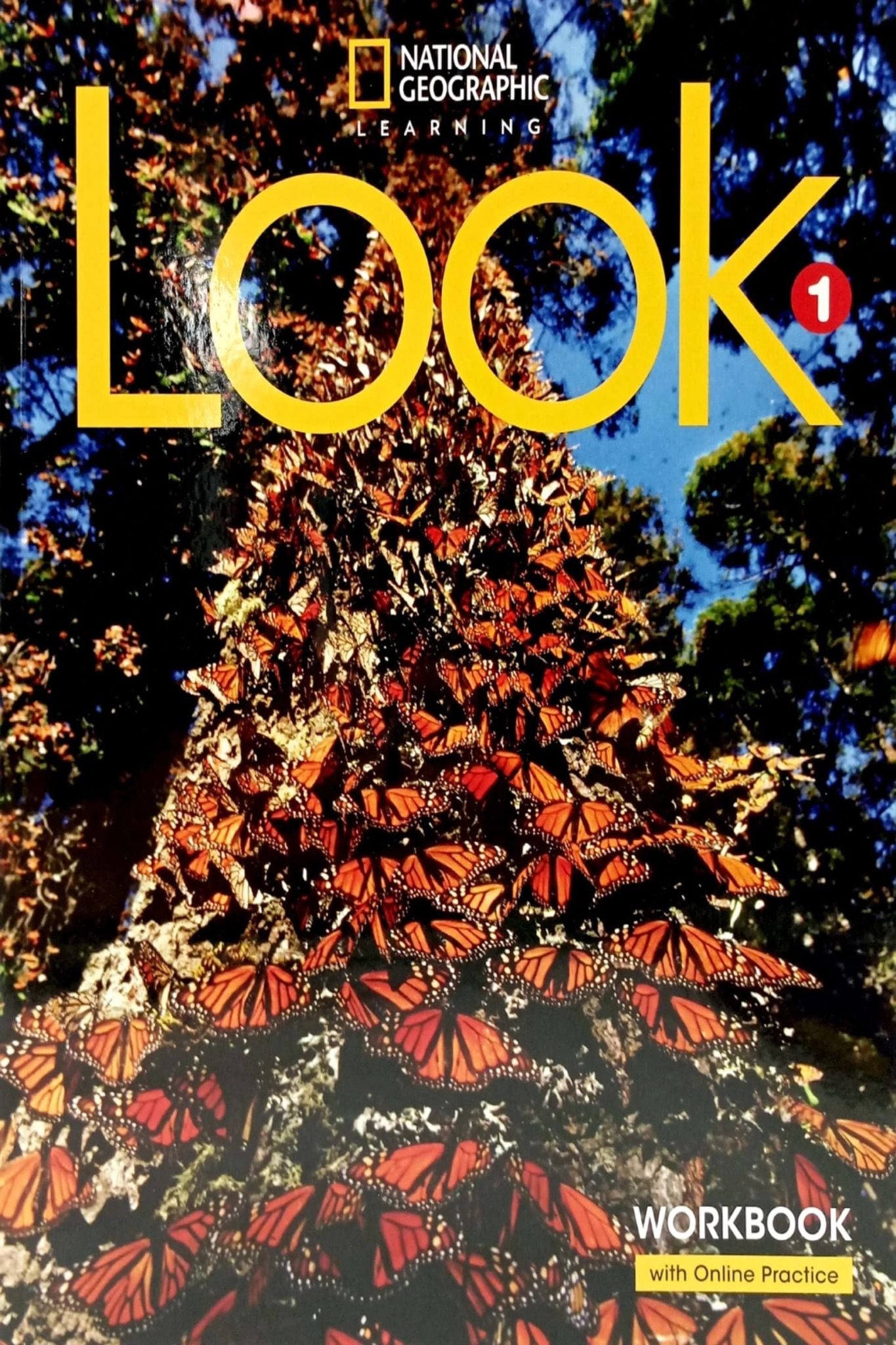 Look Level 1: Workbook With Online Practice