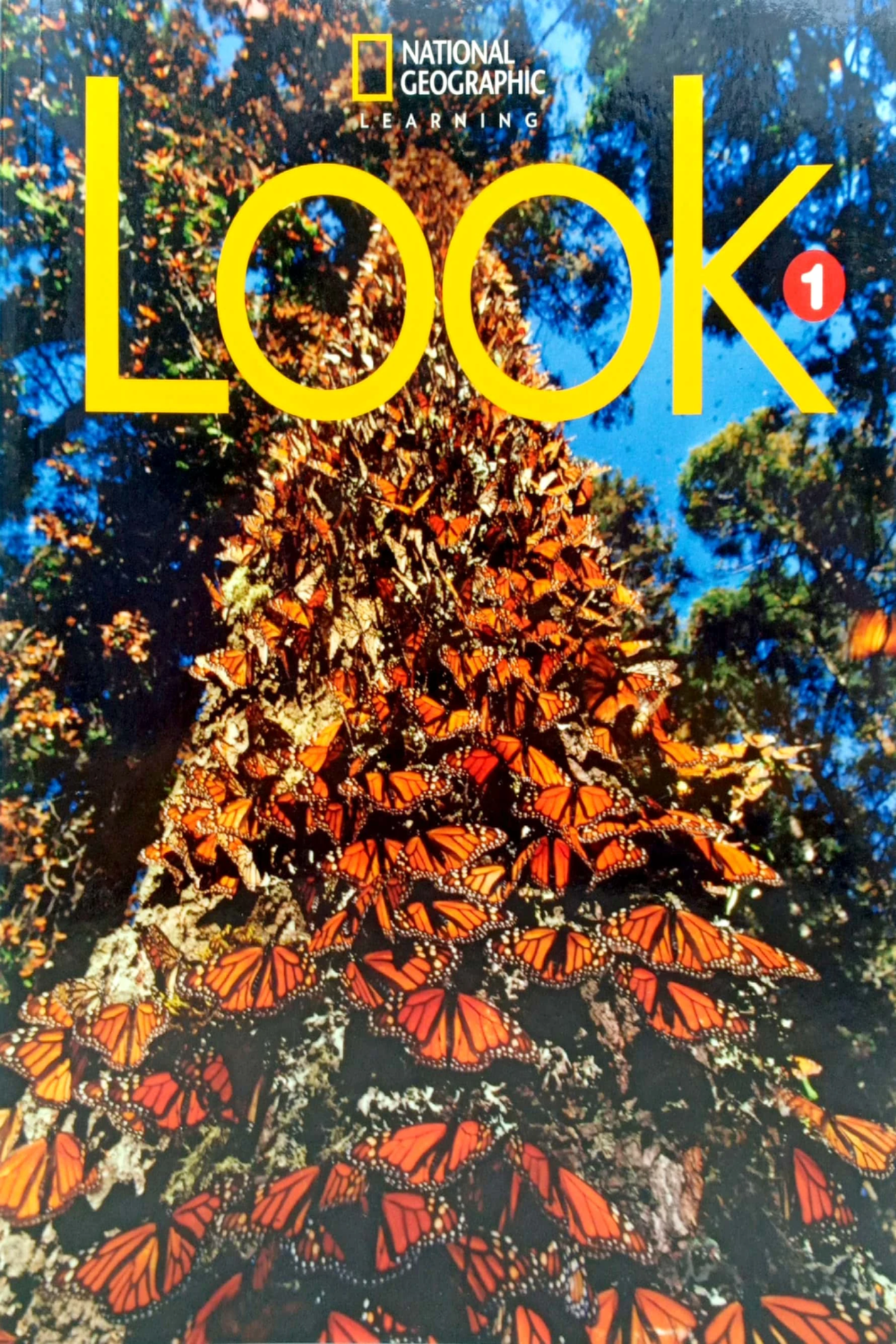 Look Level 1 - Student Book