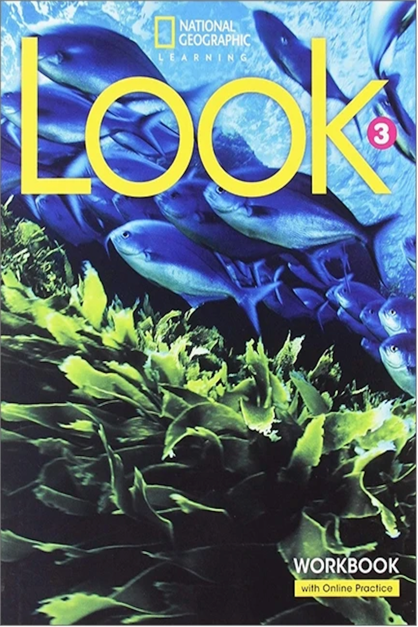 Look Level 3: Workbook With The Spark Platform