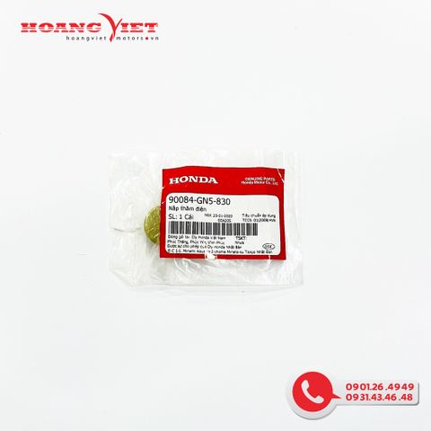 Nắp thăm điện - HONDA Nắp thăm điện xe DREAM 100 / WAVE - 90084GN5830