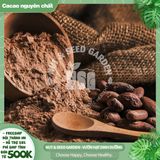  Cacao Heyday 