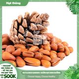  Hạt thông Mỹ 
