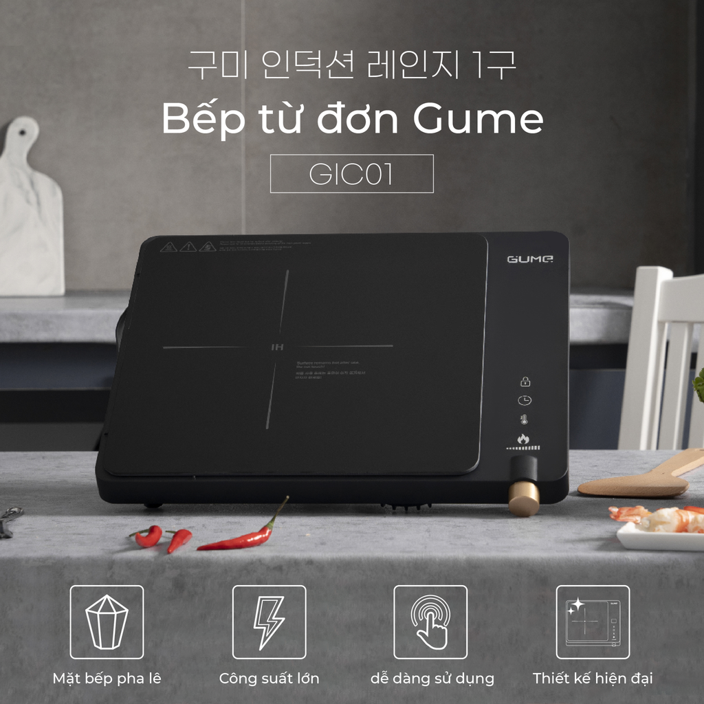 Bếp từ đơn GUME GIC LITE-01