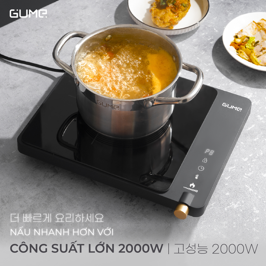 Bếp từ đơn GUME GIC LITE-01