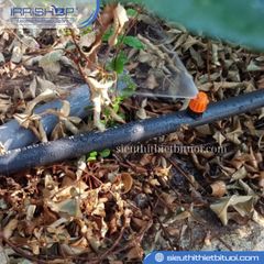 Ống dẫn nước PE Claber 1/2″(16mm) 50m 90366