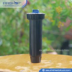 Thân Phun - 78004 Krain