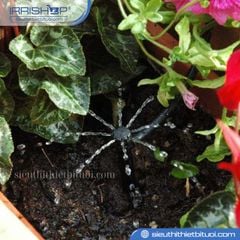 Đầu 8 tia chân cắm TECO điều chỉnh lưu lượng 0-40 l/h