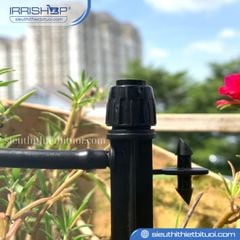Đầu phun xòe Maxima 360 độ chân cắm