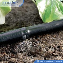 Ống tưới nhỏ giọt PE Claber 1/4″ (6mm) dài 15m mã 90353