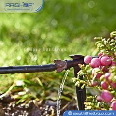 Đầu tưới chân cắm liền trục, điều chỉnh lưu lượng Delta drip,0-6L/h (màu xám)