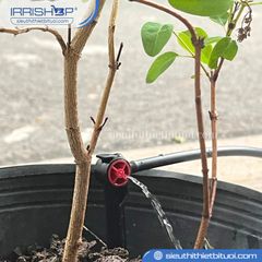Đầu tưới nhỏ giọt chân cắm 2L/h (màu đỏ)