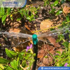 Đầu phun đơn dòng màu xanh TECO010121