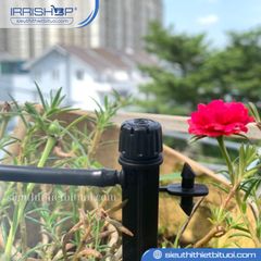 Đầu phun chân cắm Ottima 180 độ