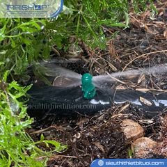 Đầu phun đơn dòng màu xanh TECO010121