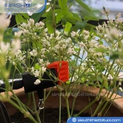 Đầu tưới nhỏ giọt cuối dòng Claber 91209