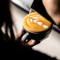 Ly, Cốc Uống Cà Phê Cao Cấp TULIPANO Club House | CLUB HOUSE COFFEE CUPS